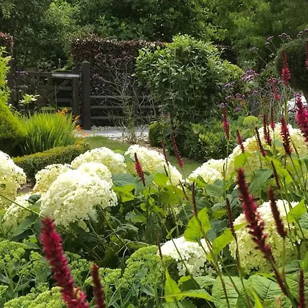 Pomme D'happy - 1 Autheux