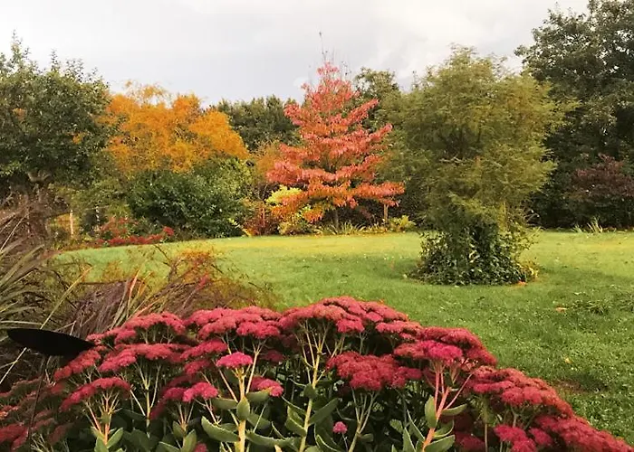 Pomme D'happy - 1 * Autheux