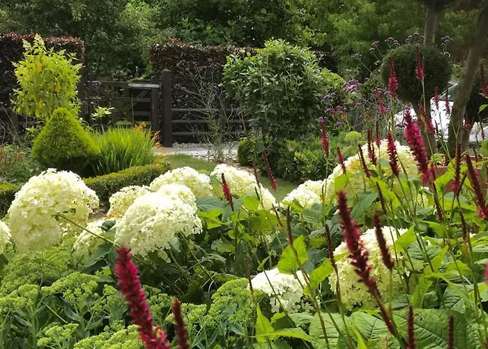 Pomme D'happy - 1 Autheux