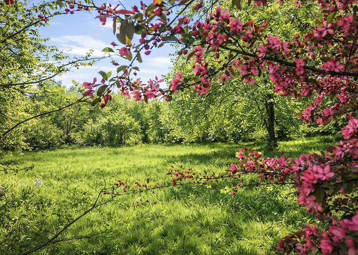 Apartment Pomme D'happy - 1